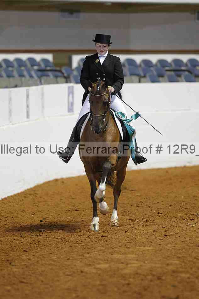 Proof Number 12r9_3063