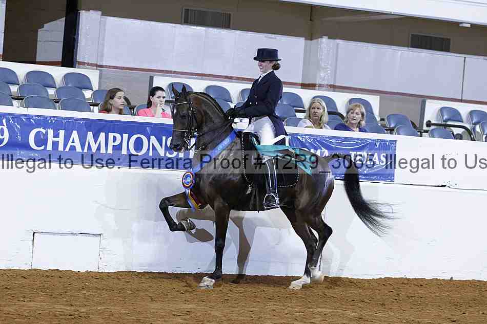 Proof Number 12r9_3065