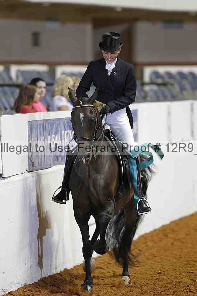 Proof Number 12r9_3069