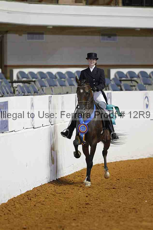 Proof Number 12r9_3074