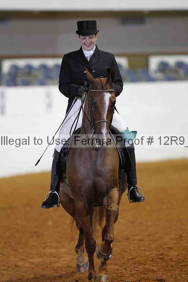 Proof Number 12r9_3078
