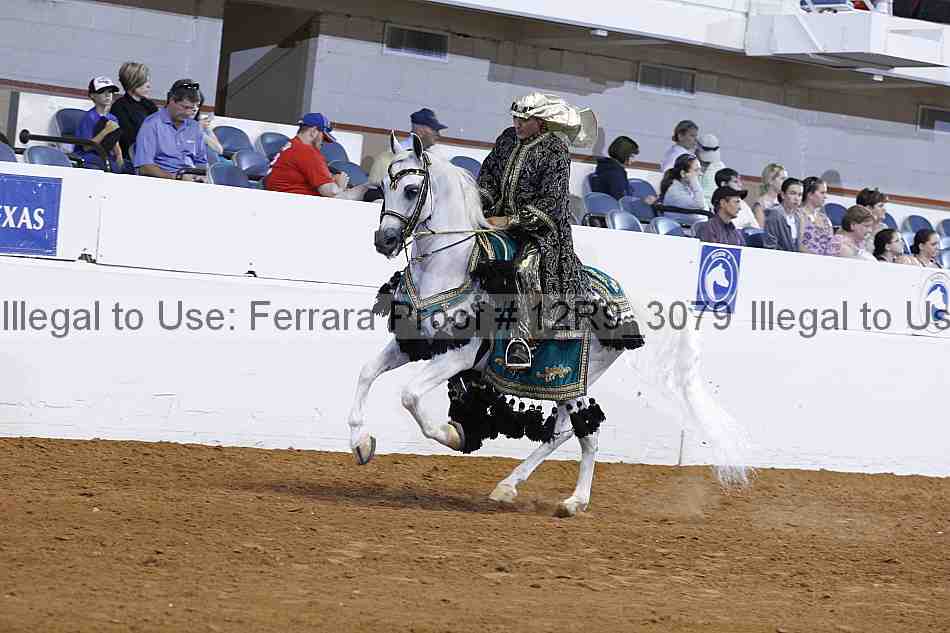 Proof Number 12r9_3079
