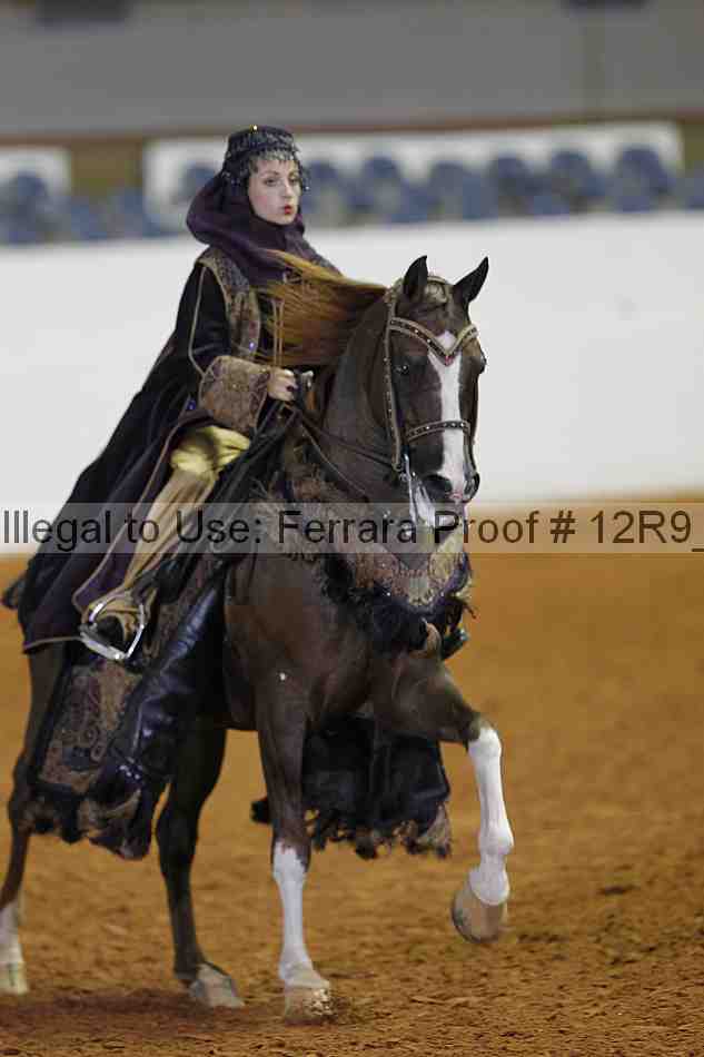 Proof Number 12r9_3099