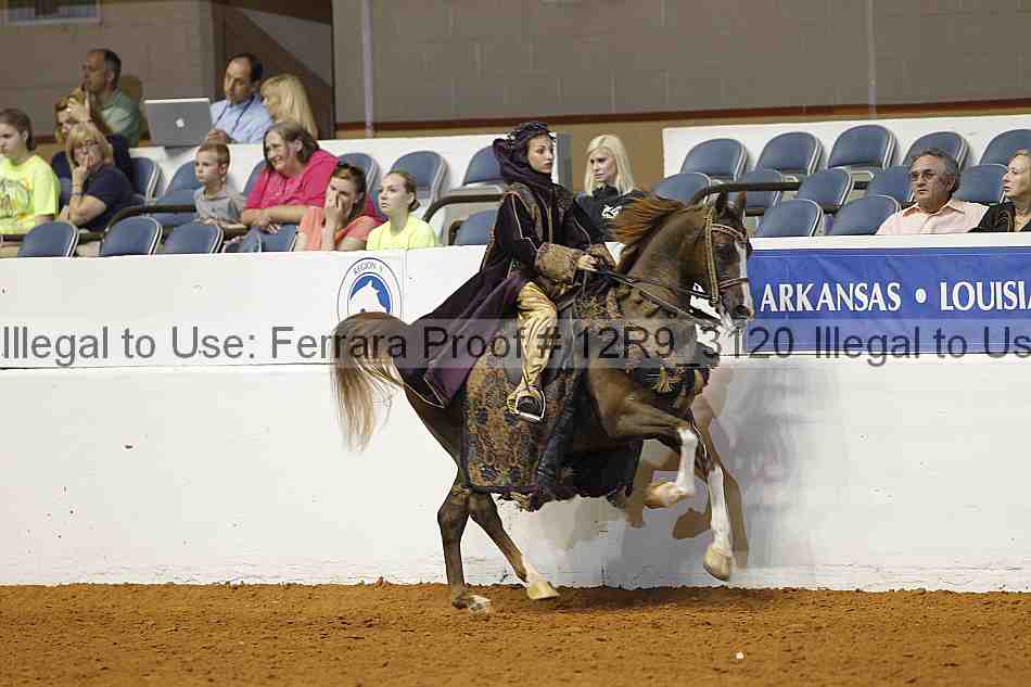 Proof Number 12r9_3120