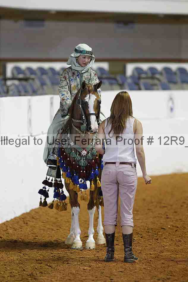 Proof Number 12r9_3127