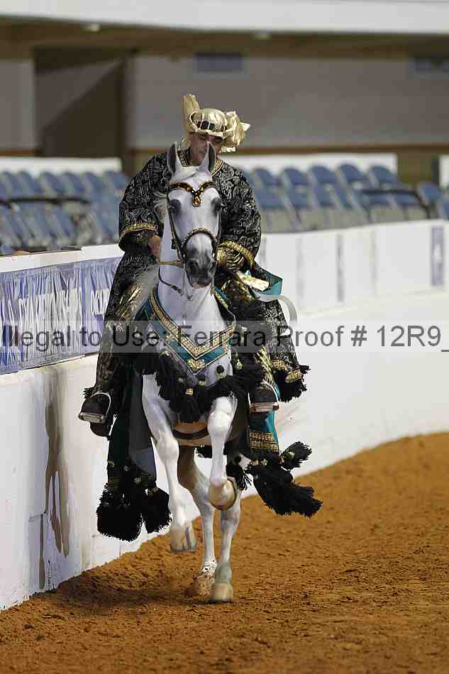 Proof Number 12r9_3145