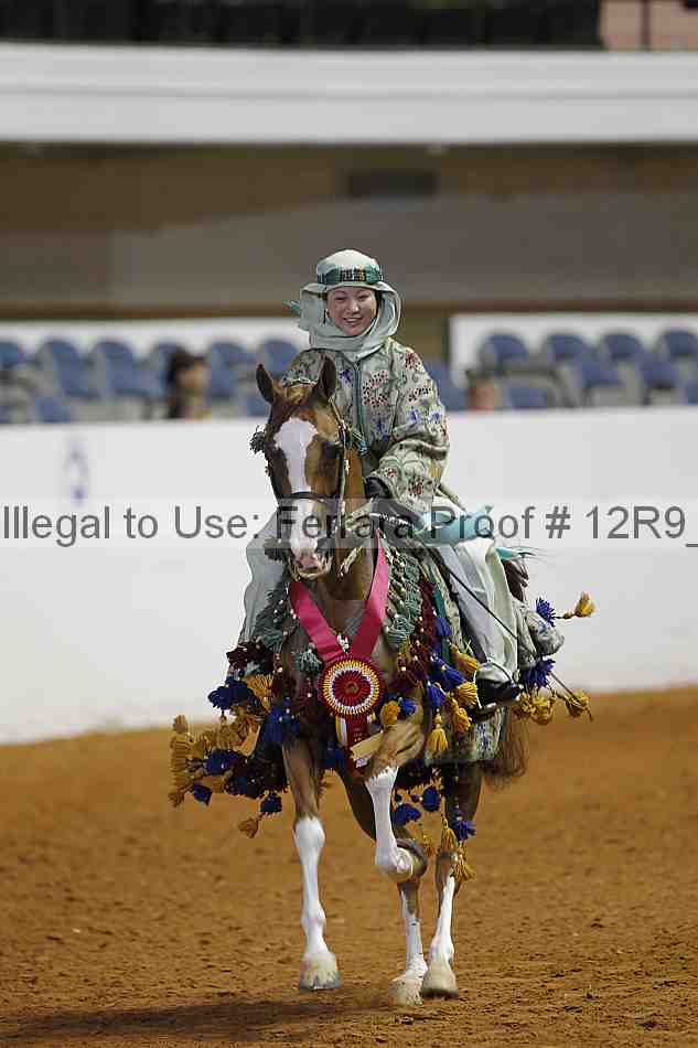 Proof Number 12r9_3149