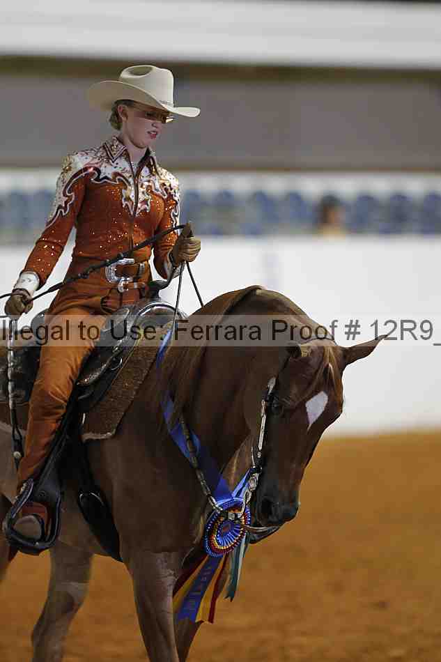 Proof Number 12r9_3176