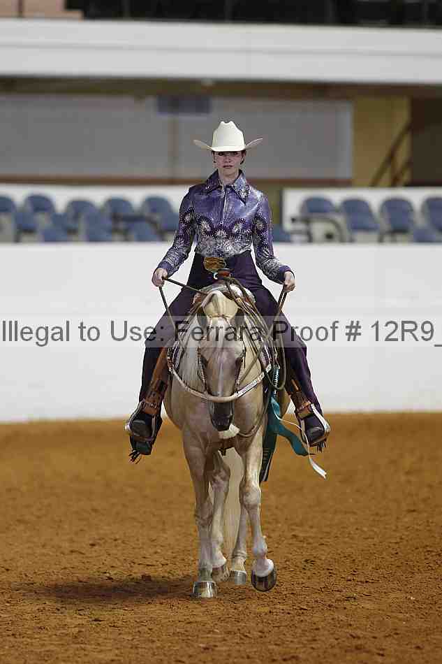 Proof Number 12r9_3180