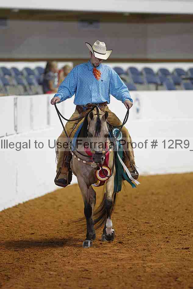 Proof Number 12r9_3188