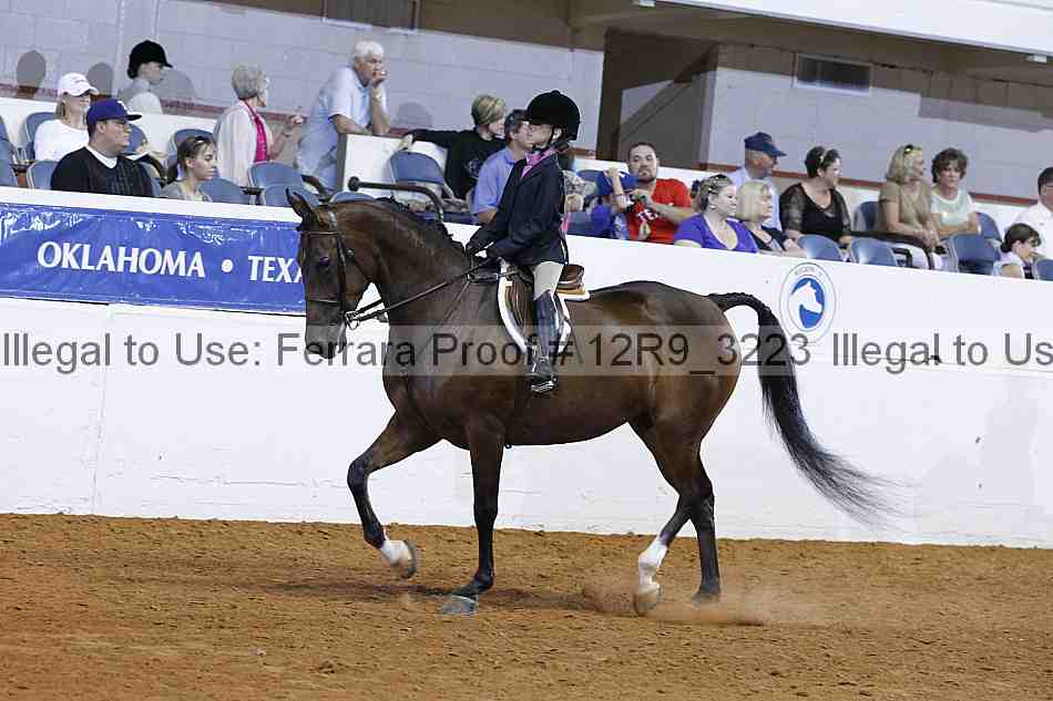 Proof Number 12r9_3223