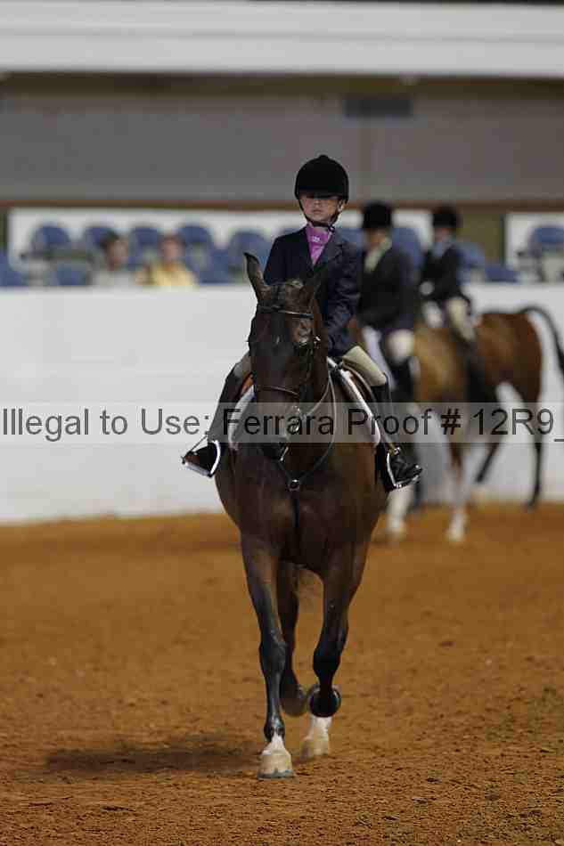 Proof Number 12r9_3231