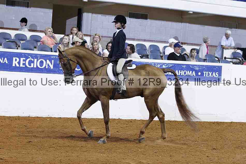 Proof Number 12r9_3234