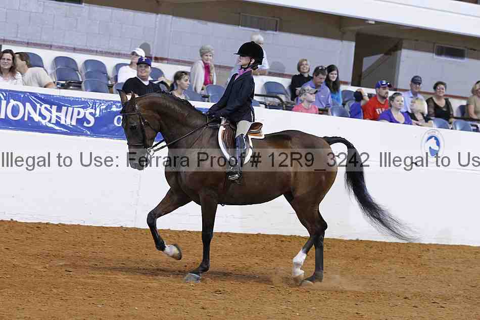 Proof Number 12r9_3242