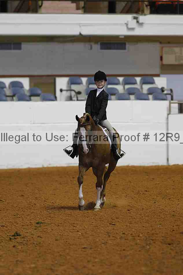 Proof Number 12r9_3244