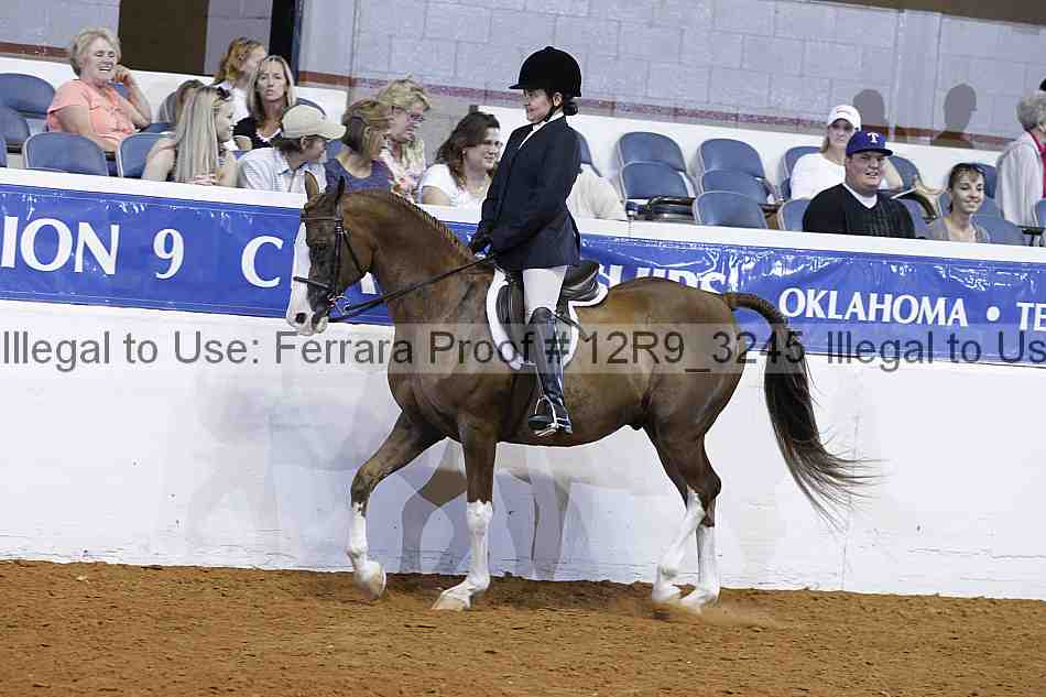Proof Number 12r9_3245