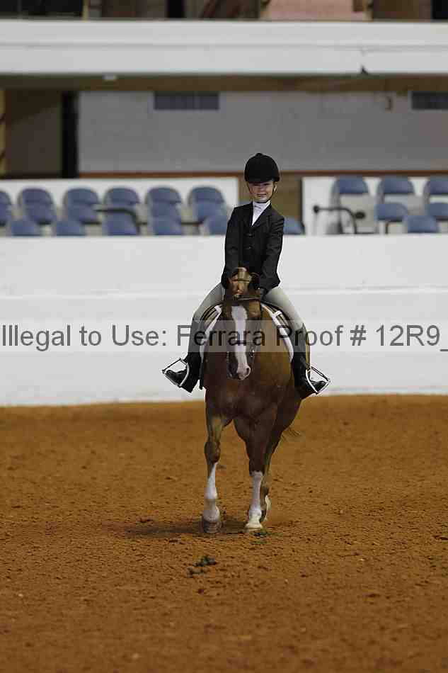 Proof Number 12r9_3246