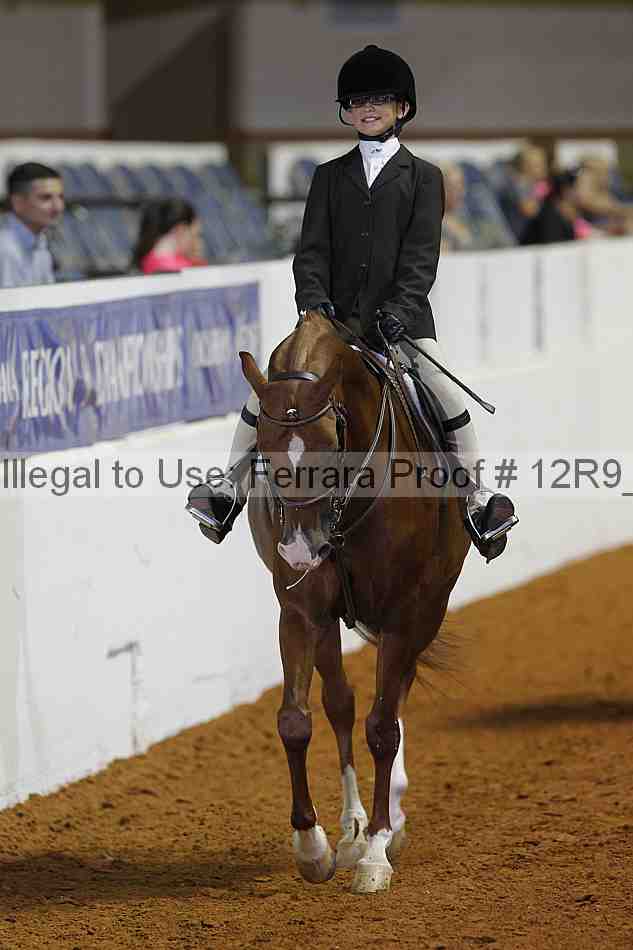 Proof Number 12r9_3250