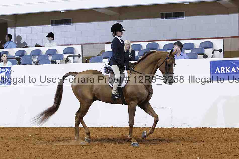 Proof Number 12r9_3258