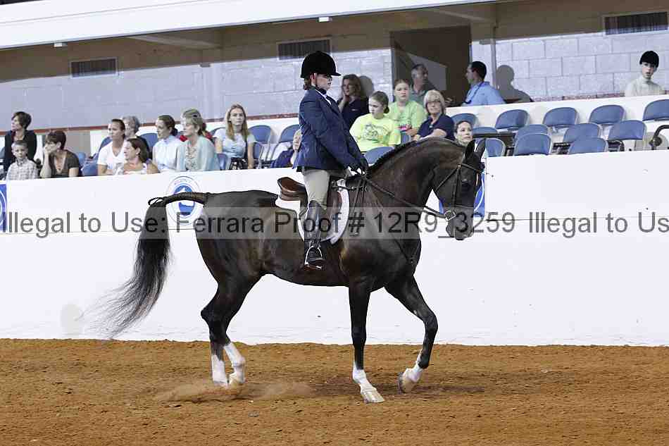 Proof Number 12r9_3259