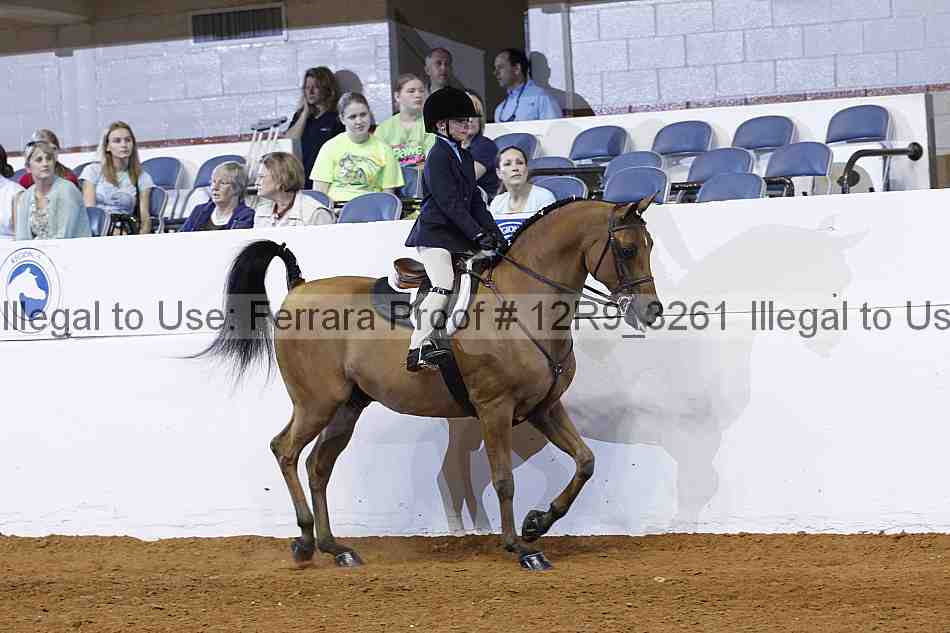 Proof Number 12r9_3261