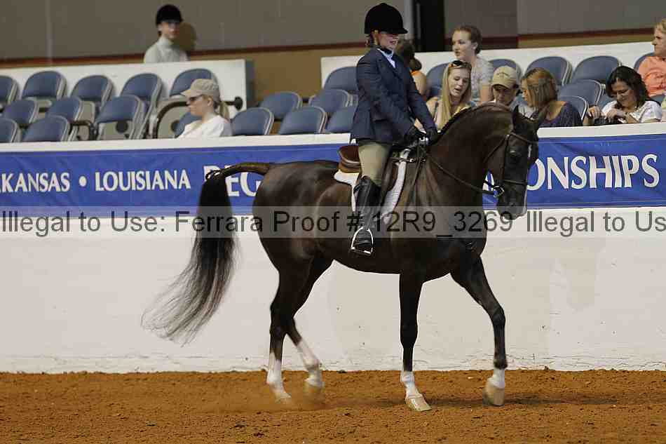 Proof Number 12r9_3269
