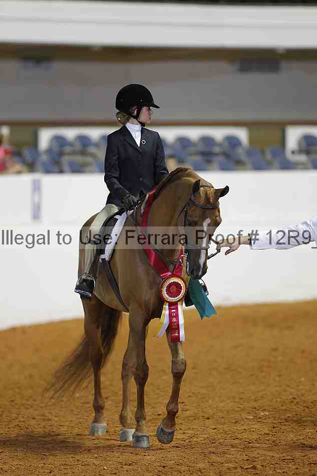 Proof Number 12r9_3275