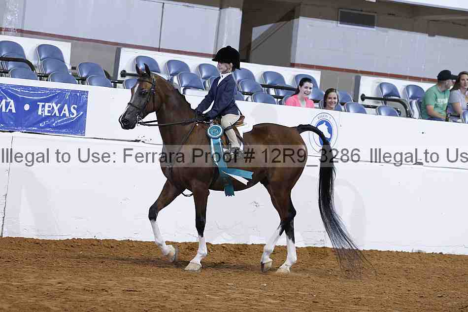 Proof Number 12r9_3286