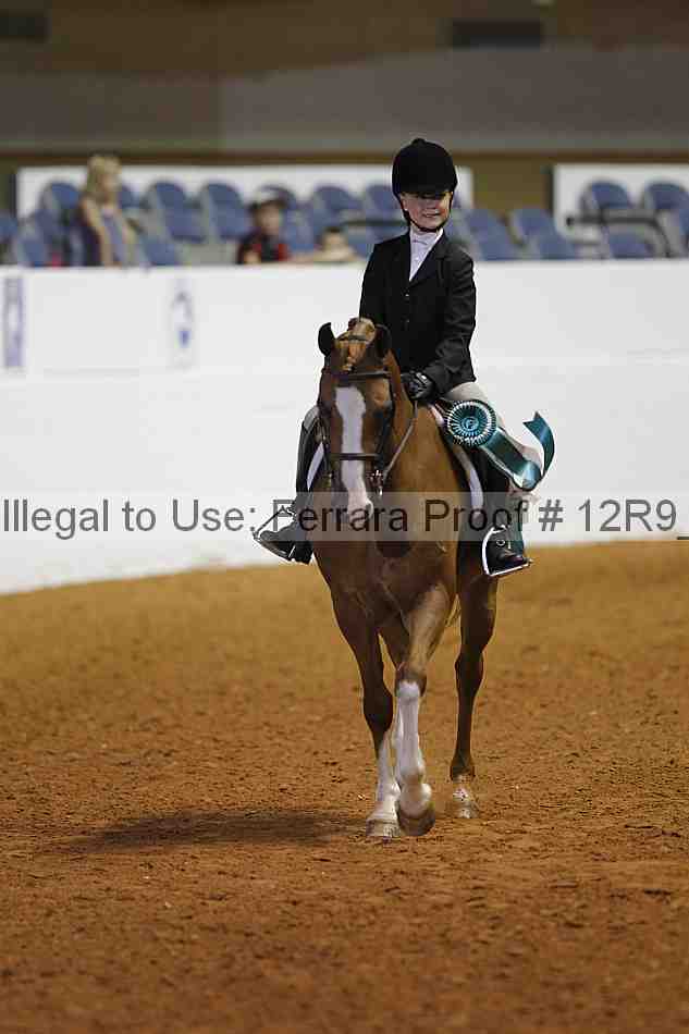 Proof Number 12r9_3290