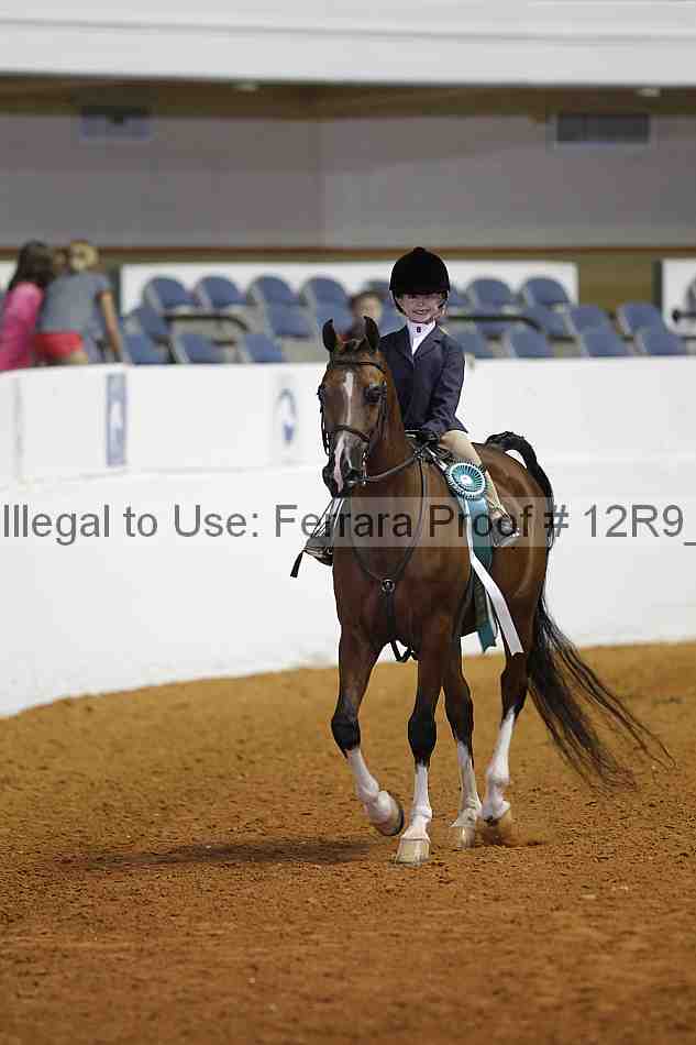 Proof Number 12r9_3296