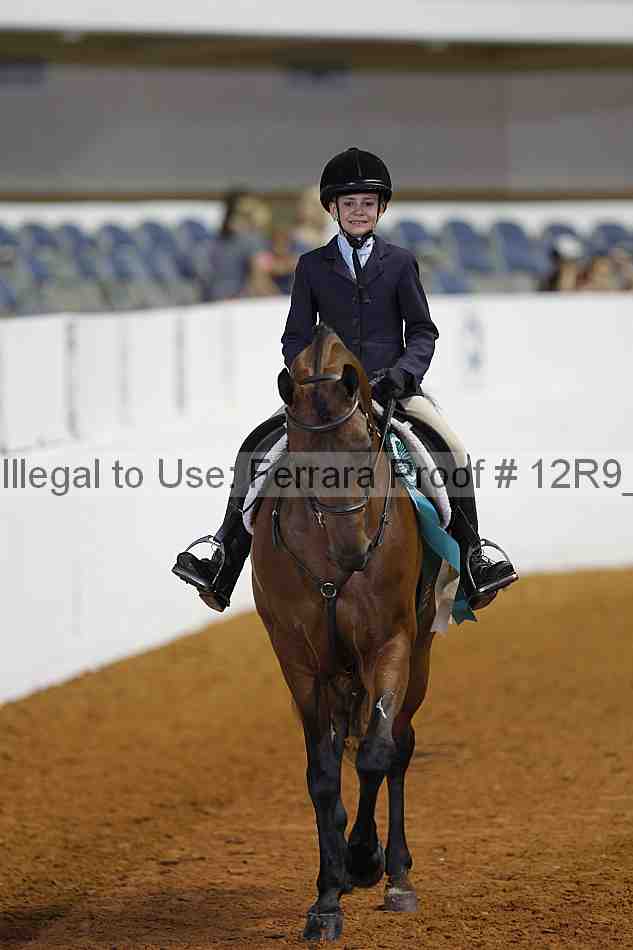 Proof Number 12r9_3303