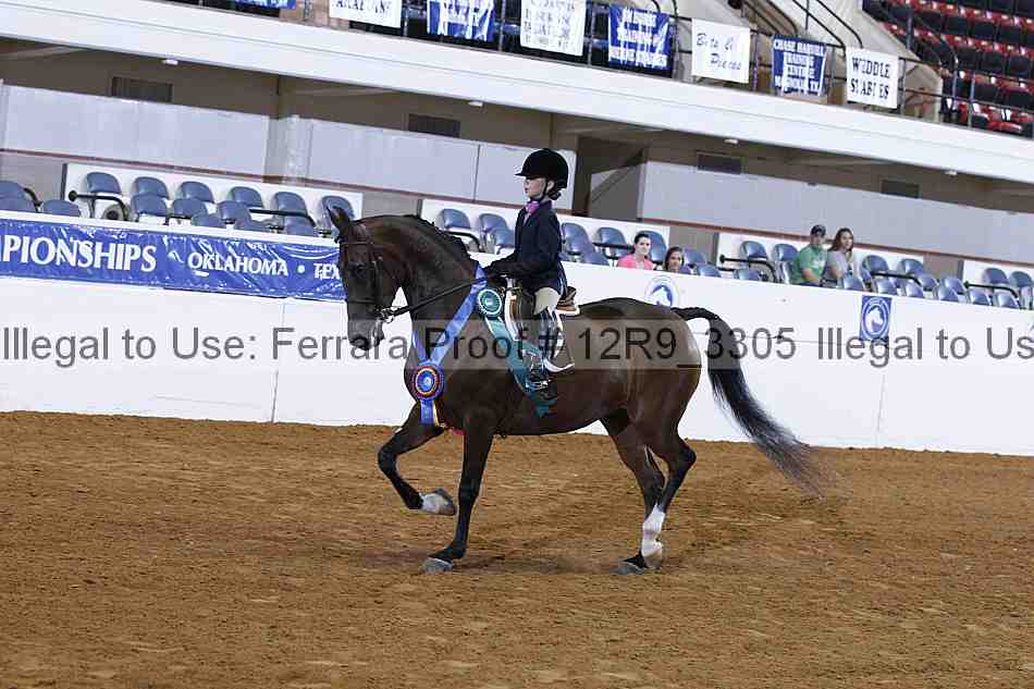 Proof Number 12r9_3305