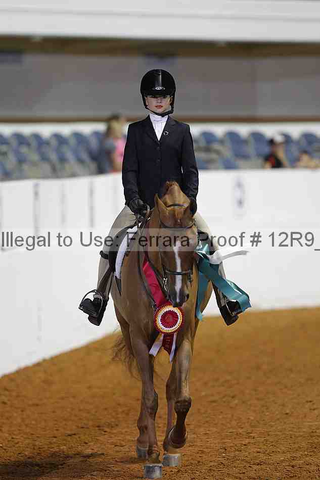 Proof Number 12r9_3307