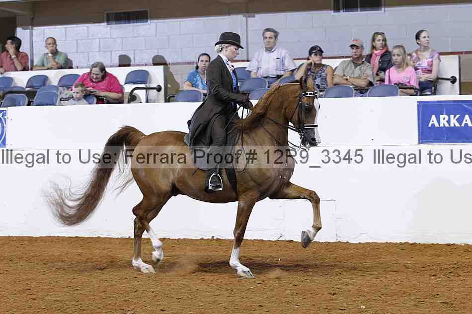 Proof Number 12r9_3345