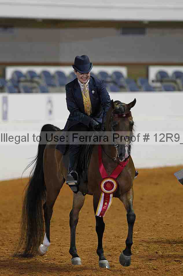 Proof Number 12r9_3361