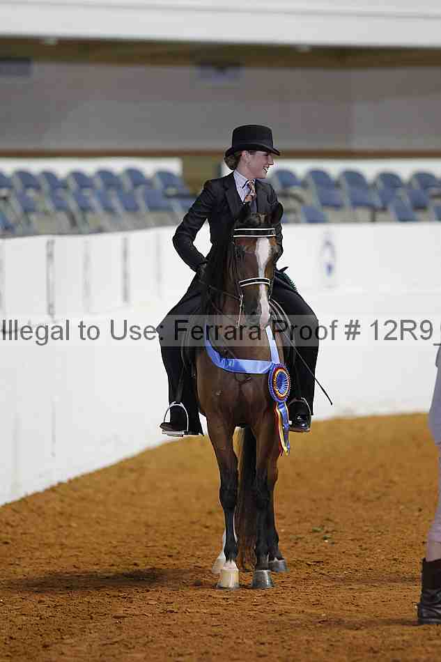 Proof Number 12r9_3371