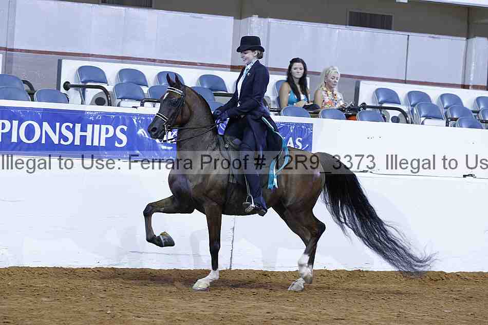 Proof Number 12r9_3373