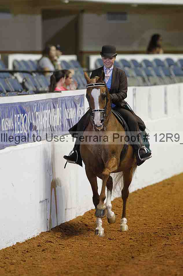Proof Number 12r9_3382
