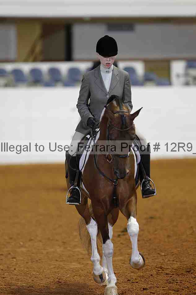 Proof Number 12r9_3426
