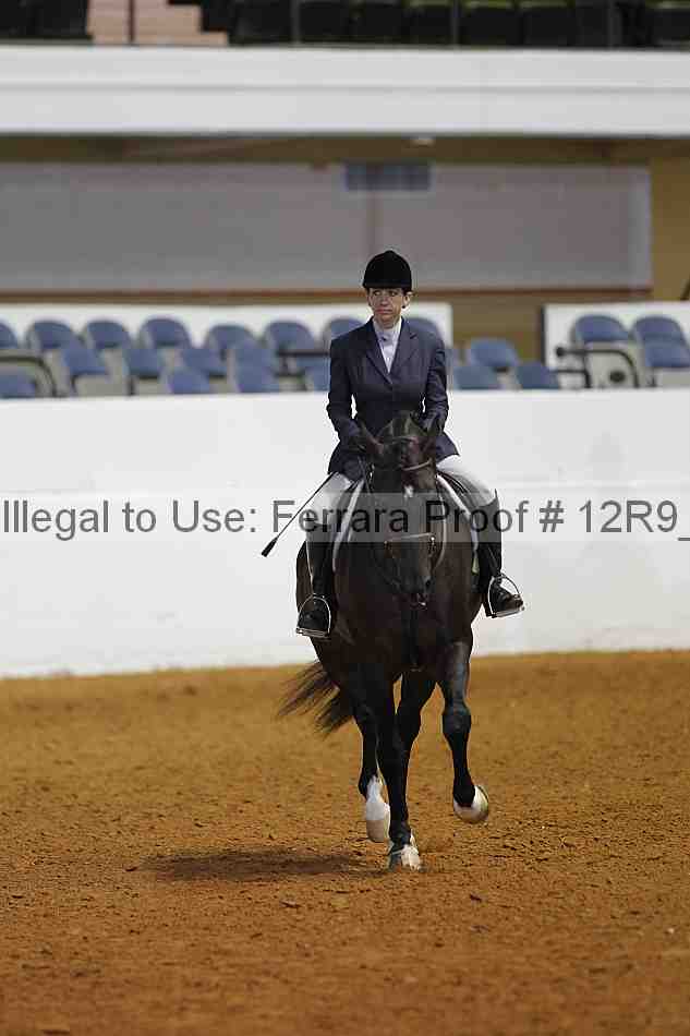 Proof Number 12r9_3429