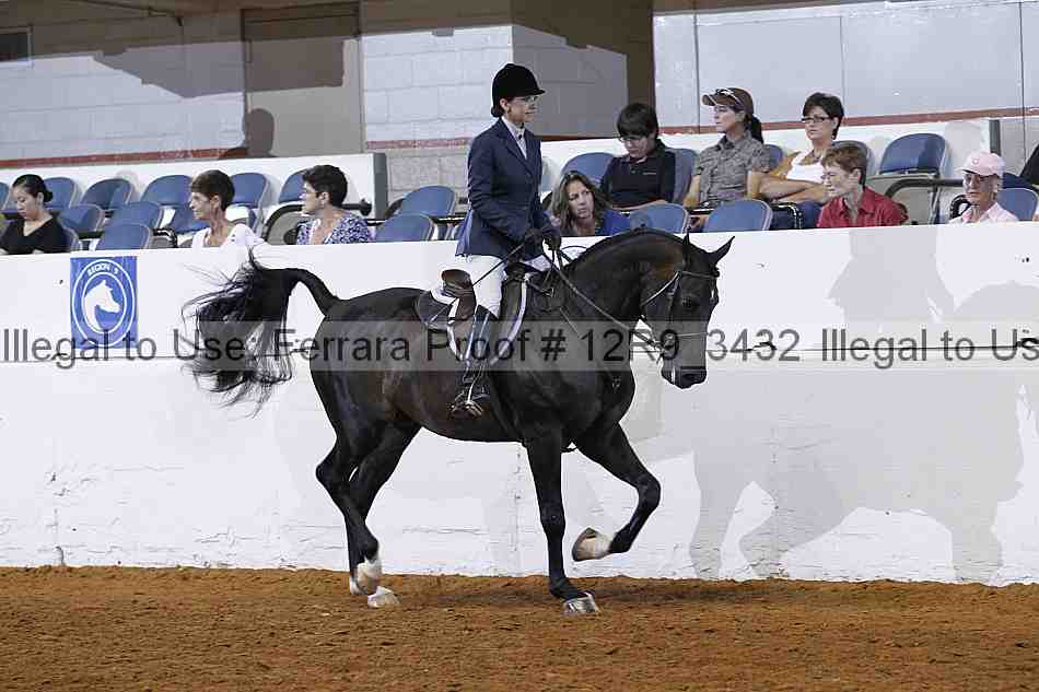 Proof Number 12r9_3432