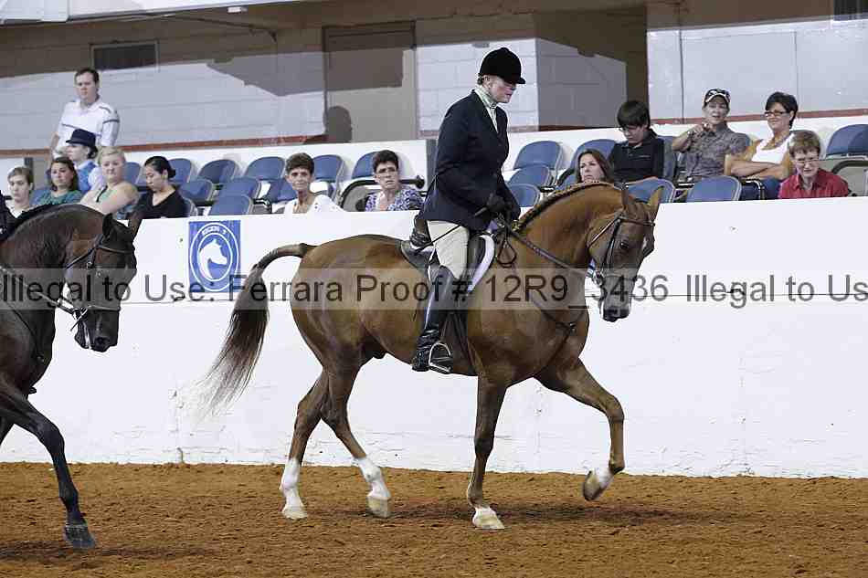 Proof Number 12r9_3436