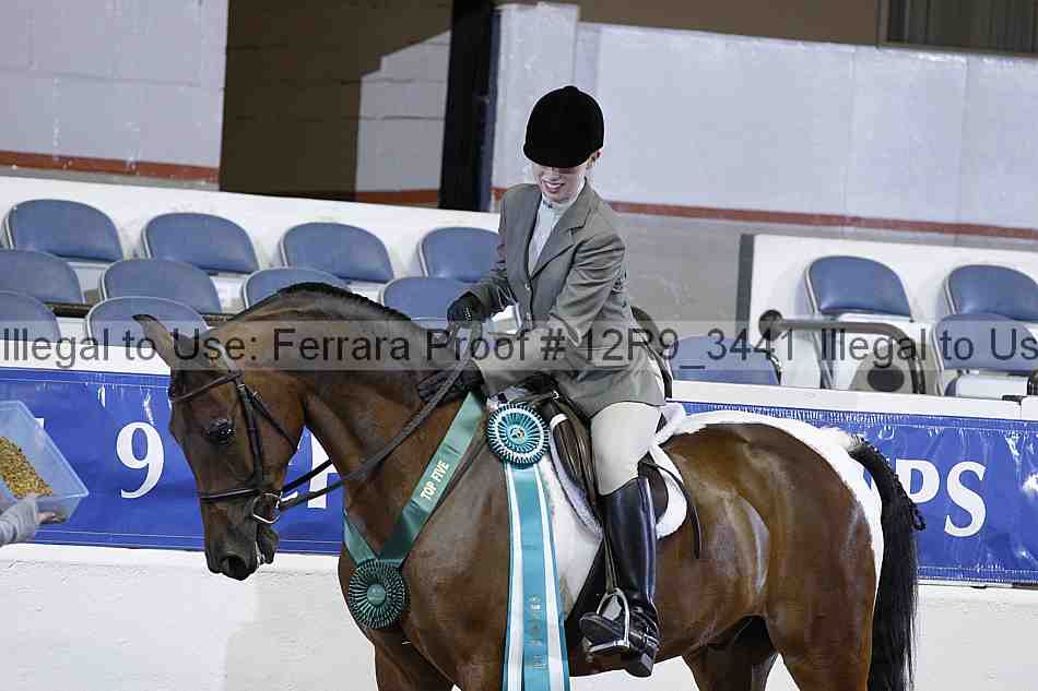 Proof Number 12r9_3441