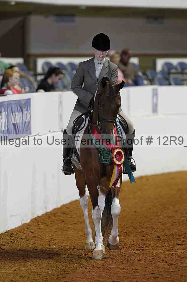 Proof Number 12r9_3447