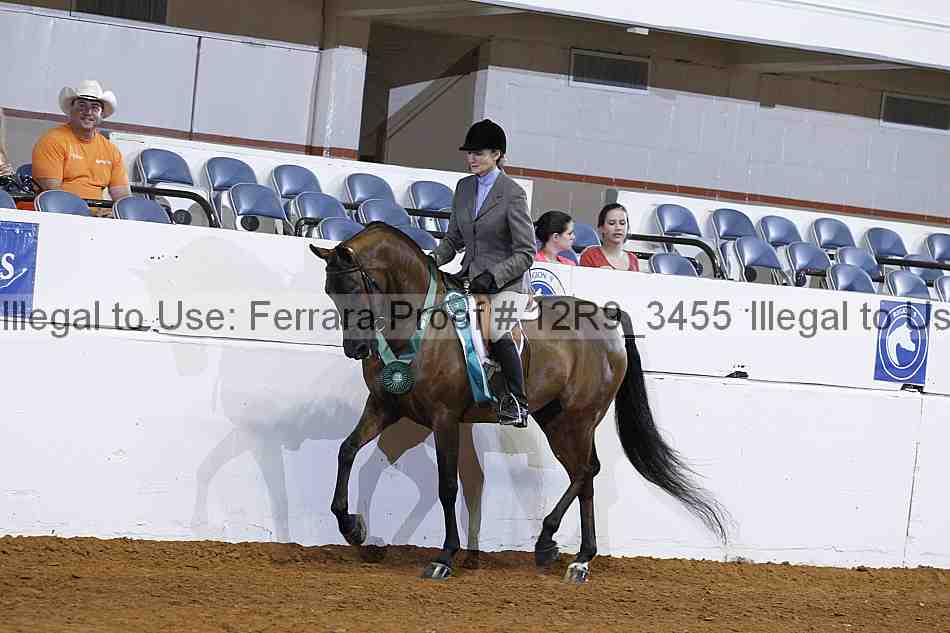 Proof Number 12r9_3455