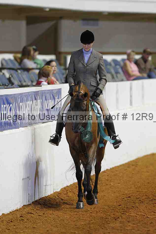 Proof Number 12r9_3465