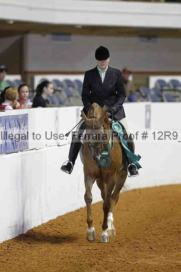 Proof Number 12r9_3470