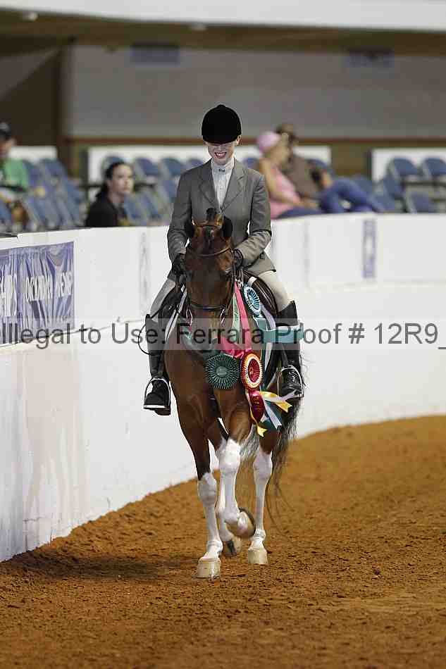 Proof Number 12r9_3474