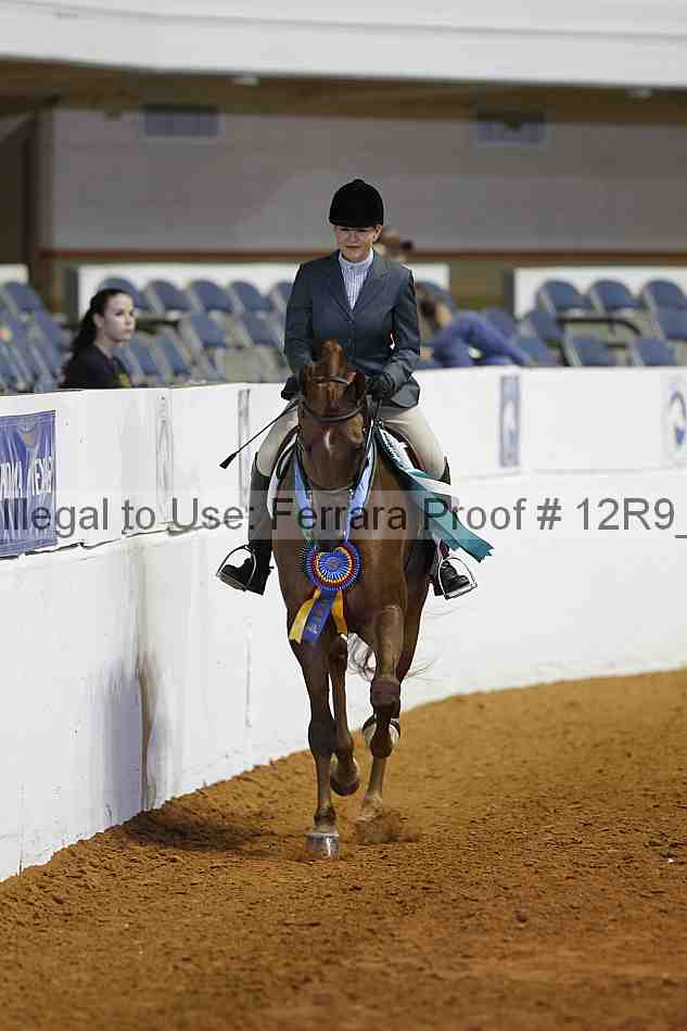 Proof Number 12r9_3475