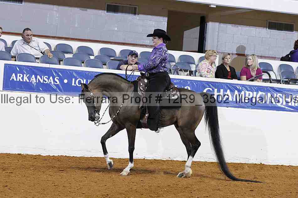 Proof Number 12r9_3502